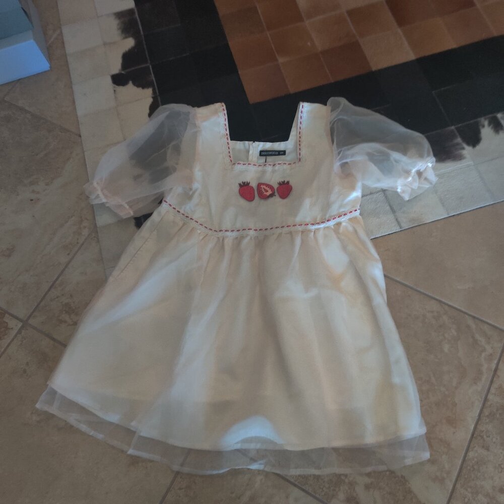 Dangerfield  strawberry embroidered dress size 20 AU New